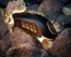 موس SteelSeries Aerox 9 Wireless World of Warcraft Edition - Image 4